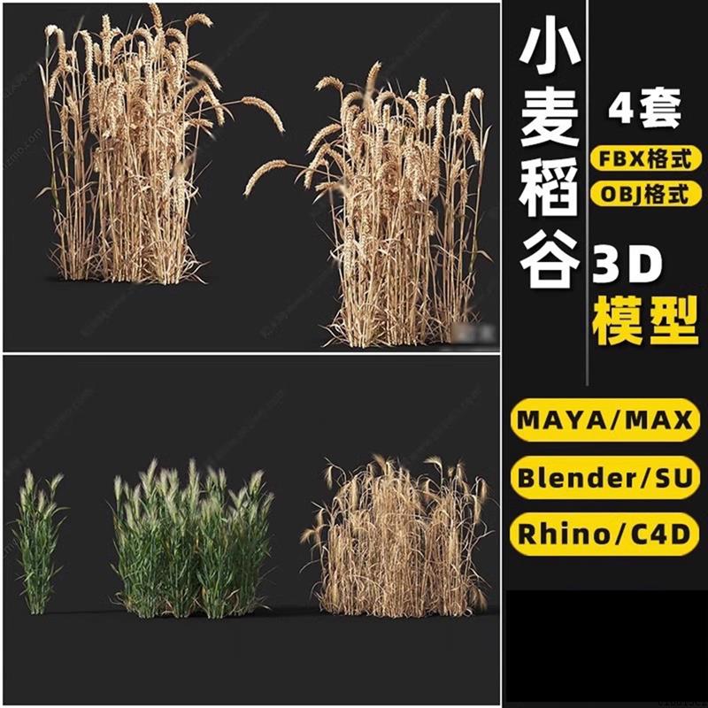 blender小麦子水稻谷高粱Rhino犀牛SU/C4D/3Dmax模型FBX/OBJ/MAYA