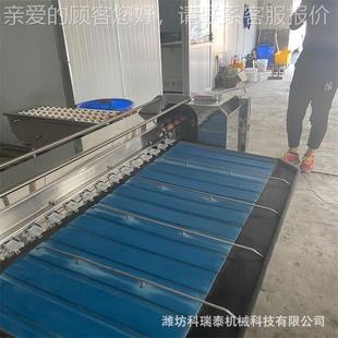 小型鸡蛋鸭蛋AUE重厂量分级机山东家供应型型家庭自动化分级小机