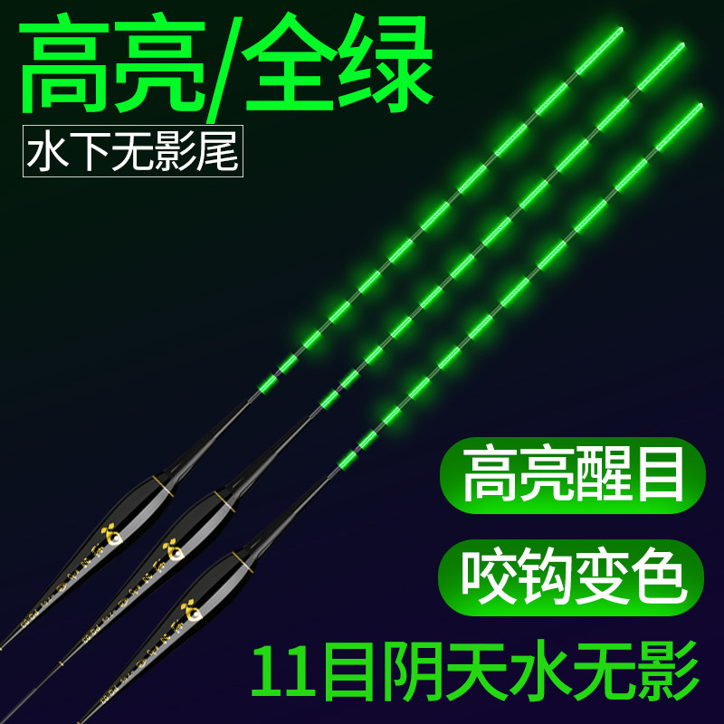 阴天水无影全绿电子夜钓漂高灵敏浮漂