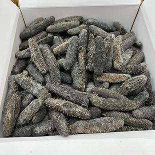 日本关西参北海道天然野生优质纯淡干海参干货刺参泡发率13-15倍