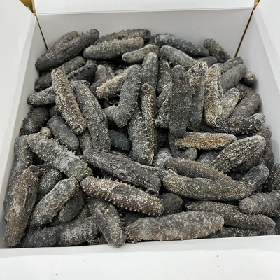 日本关西参北海道天然野生优质纯淡干海参干货刺参泡发率13-15倍