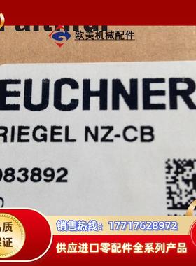 E 083892 安士能全新安全开关门闩 RIEL NZ-CB NZ.VZ议价