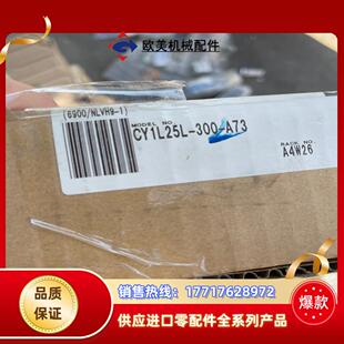 A73议价 300 SMC磁偶式 无杆气缸CY1L25L