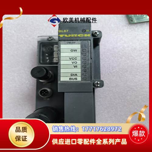 图尔克BL67-GW-DPV1模块图片实拍议价