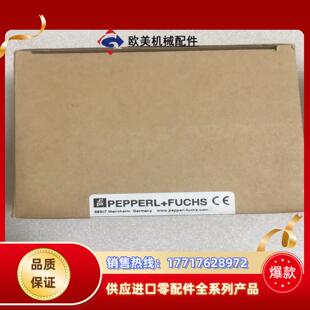 Z4976a82b116反议价 倍加福 RL28