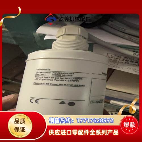闲置全新E+H液位计探头FDU91-RG1AA未使议价