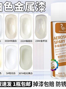 亮光白色油漆金属漆墙面户外汽车家具木门翻新修补防锈防水自喷漆