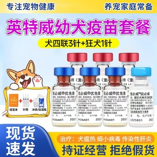 进口英特威四联狗狗疫苗4联预防犬瘟细小育苗宠狂犬小狗自打套餐