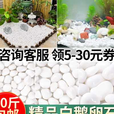 白色鹅卵石雨花石原石庭院铺地铺路花园装饰天然大石头户外白石子