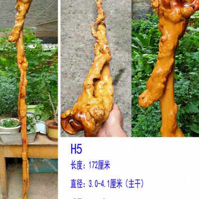 云南黑果木红茶树原生象形新品实木拐杖一体禅杖根雕文玩收藏摆件