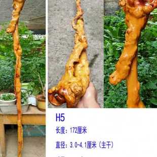 云南黑果木红茶树原生象形新品实木拐杖一体禅杖根雕文玩收藏摆件