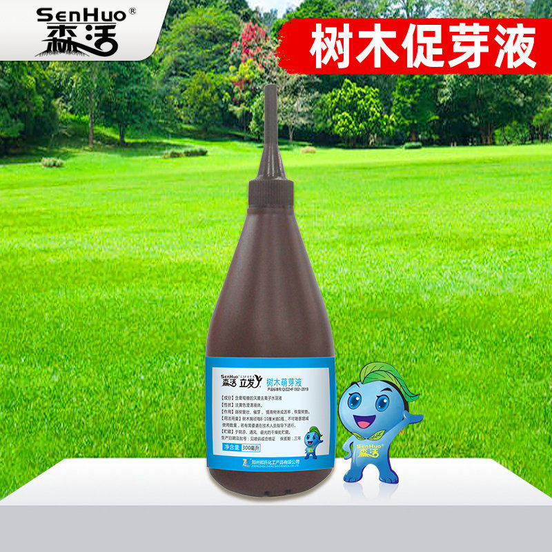 立发丫苗木古树促长萌芽液直插瓶