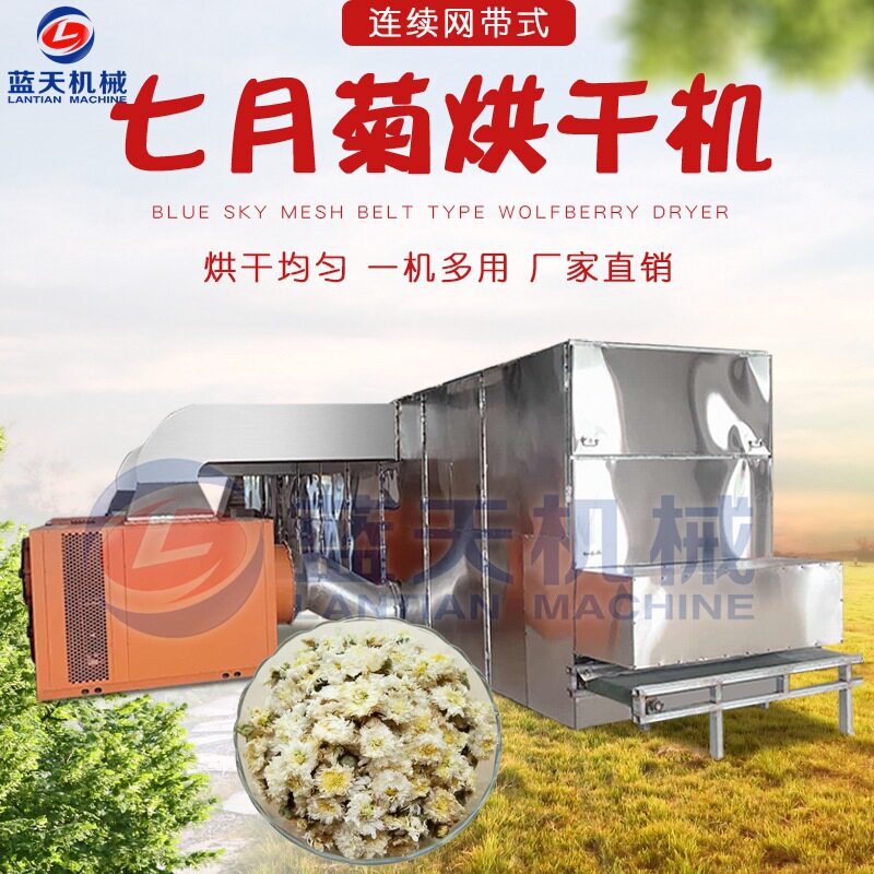 七月菊烘干机 网带式黄山贡菊翠菊干燥设备 全自动菊花烘干生产线