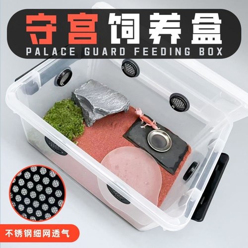 守宫饲养盒爬宠饲养箱通风透气简约蜘蛛蝎子西瓜虫盒子乌龟冬眠盒