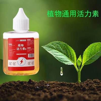 植物生长活力素盆景花草促芽促花浓缩通用型营养液生根多肉绿植盆