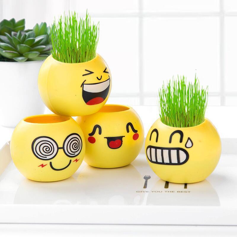意可爱大眼植草头娃娃创意绿室内迷你表情盆创植物学生手工栽种植