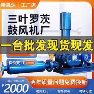 三叶型高压风机 罗茨风机气力输送罗茨鼓风机 lsdsr罗茨增压风机