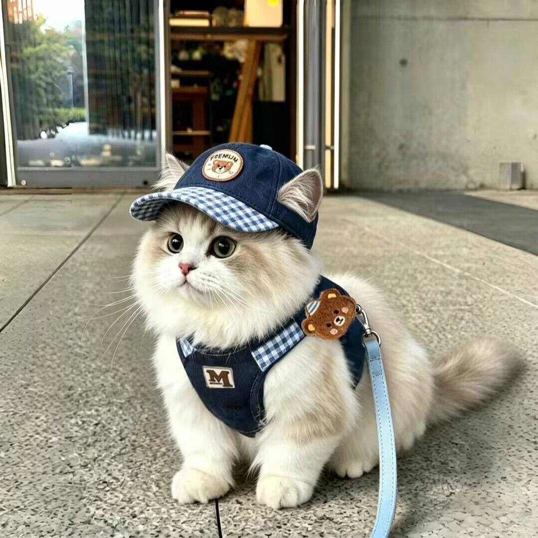 猫咪牵引绳牵引可爱外出套装遮阳帽小型衣服背带宠物防挣脱宠物绳