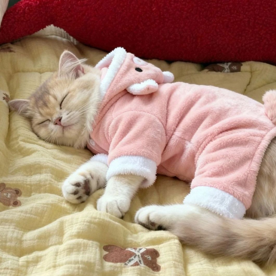 猫咪衣服秋冬装可爱小猪加厚布偶猫英短无毛猫幼猫宠物狗狗四脚衣