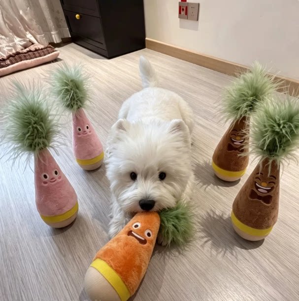 不倒翁狗狗玩具宠物用品耐咬磨牙自嗨解闷神器消耗体力逗猫棒幼猫