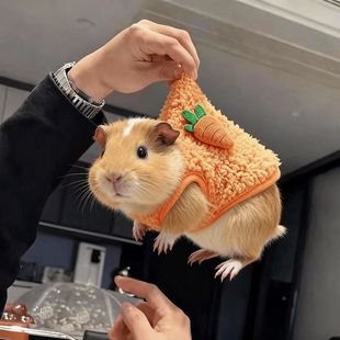 奶狗奶猫荷兰猪侏儒兔衣服秋冬季保暖防寒幼犬宠物衣服小奶狗衣服