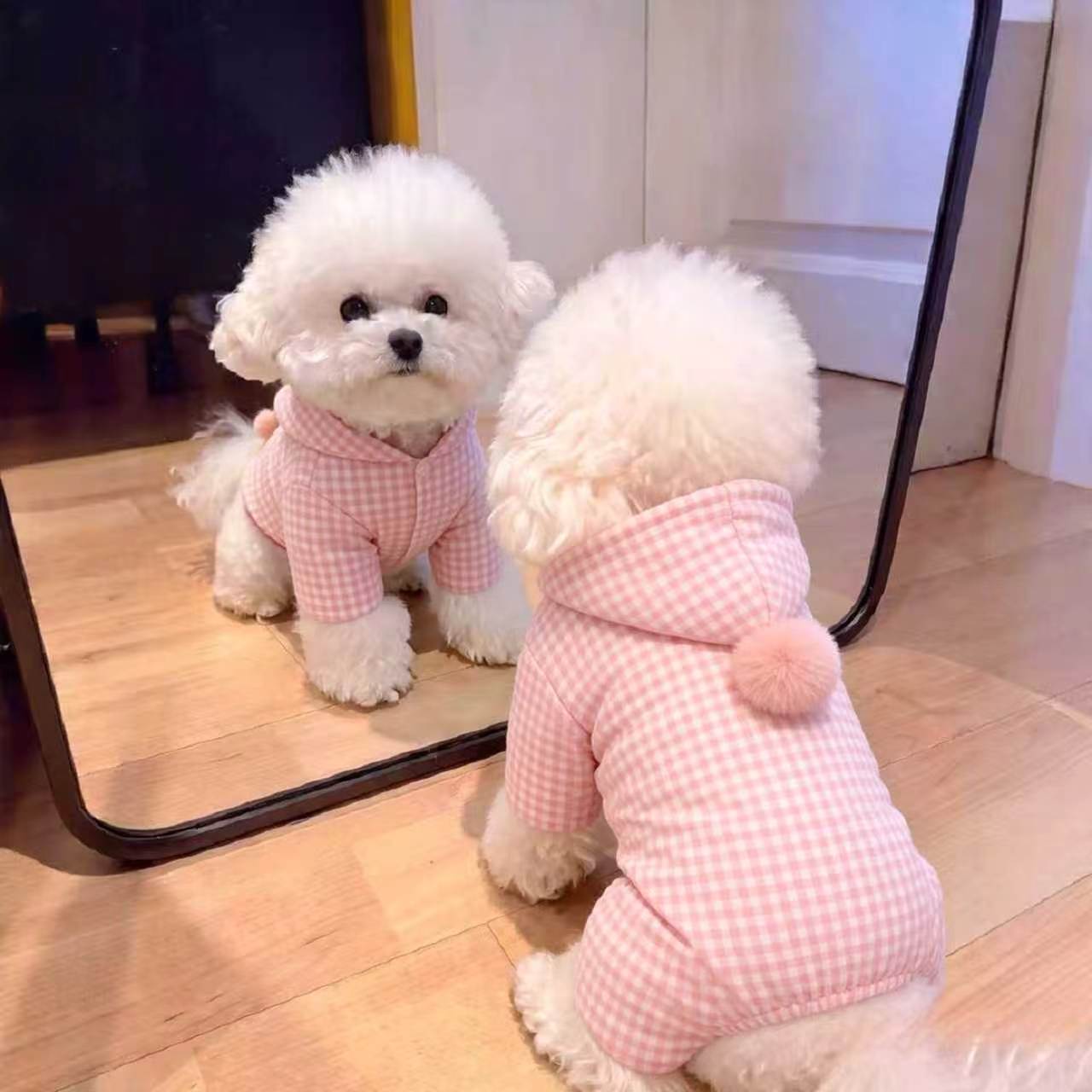 狗狗衣服冬装保暖可牵引布偶无毛猫比熊泰迪小型犬宠物猫咪棉衣服