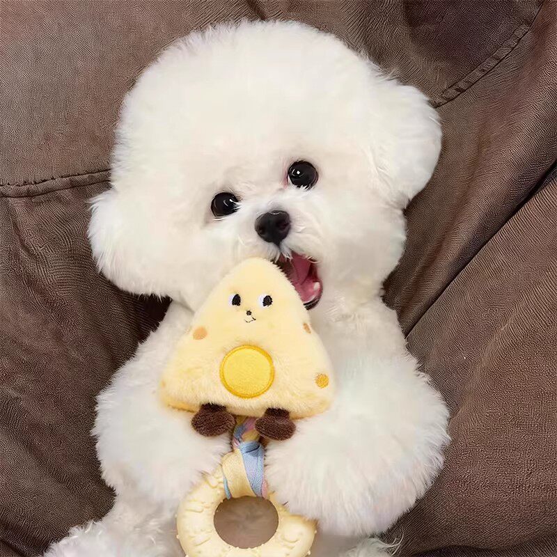 狗狗玩具发声磨牙咬咬圈幼犬耐啃咬自嗨解闷互动毛绒玩偶宠物用品
