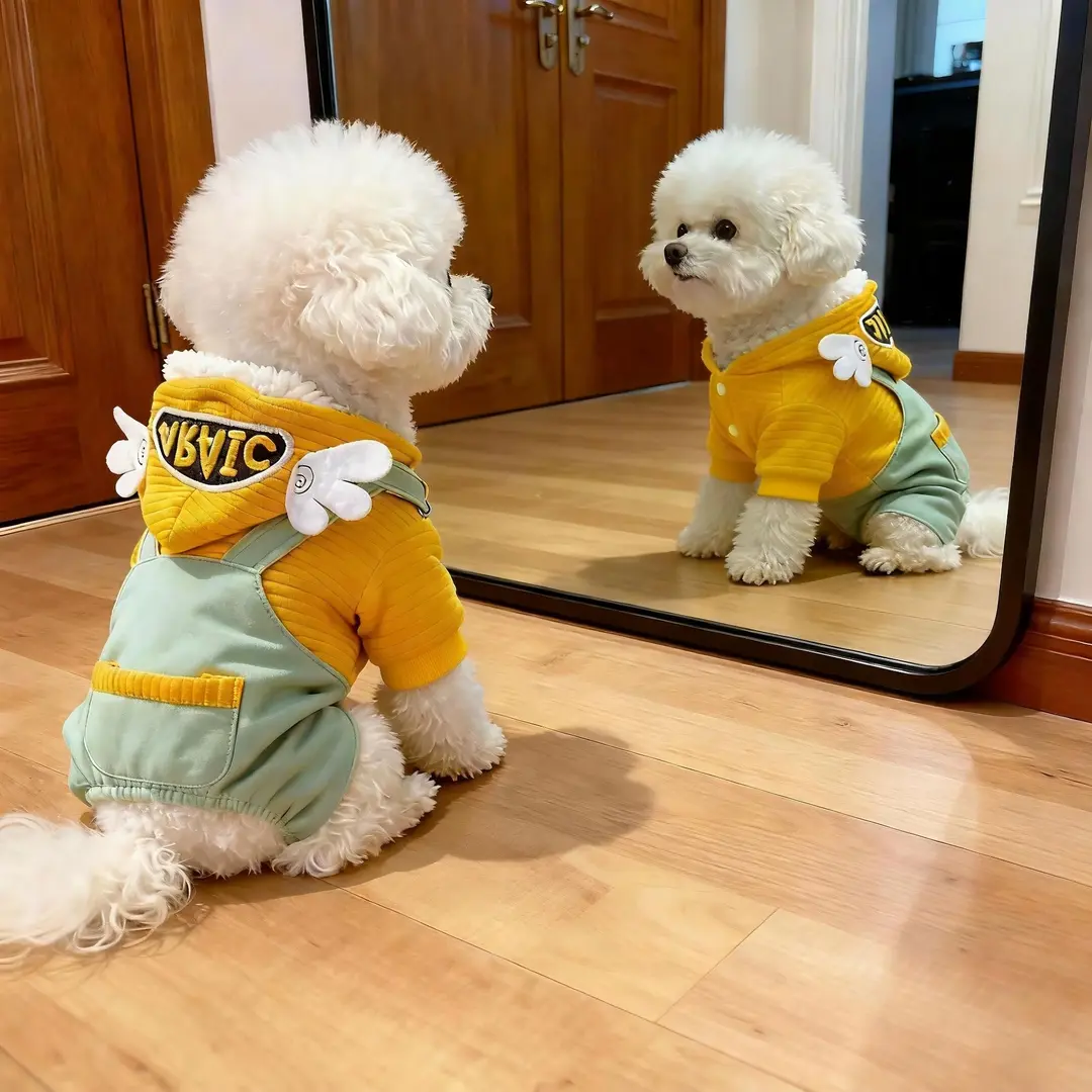 狗狗四脚衣秋冬款冬季加厚泰迪博美比熊小型幼犬宠物冬天新年衣服