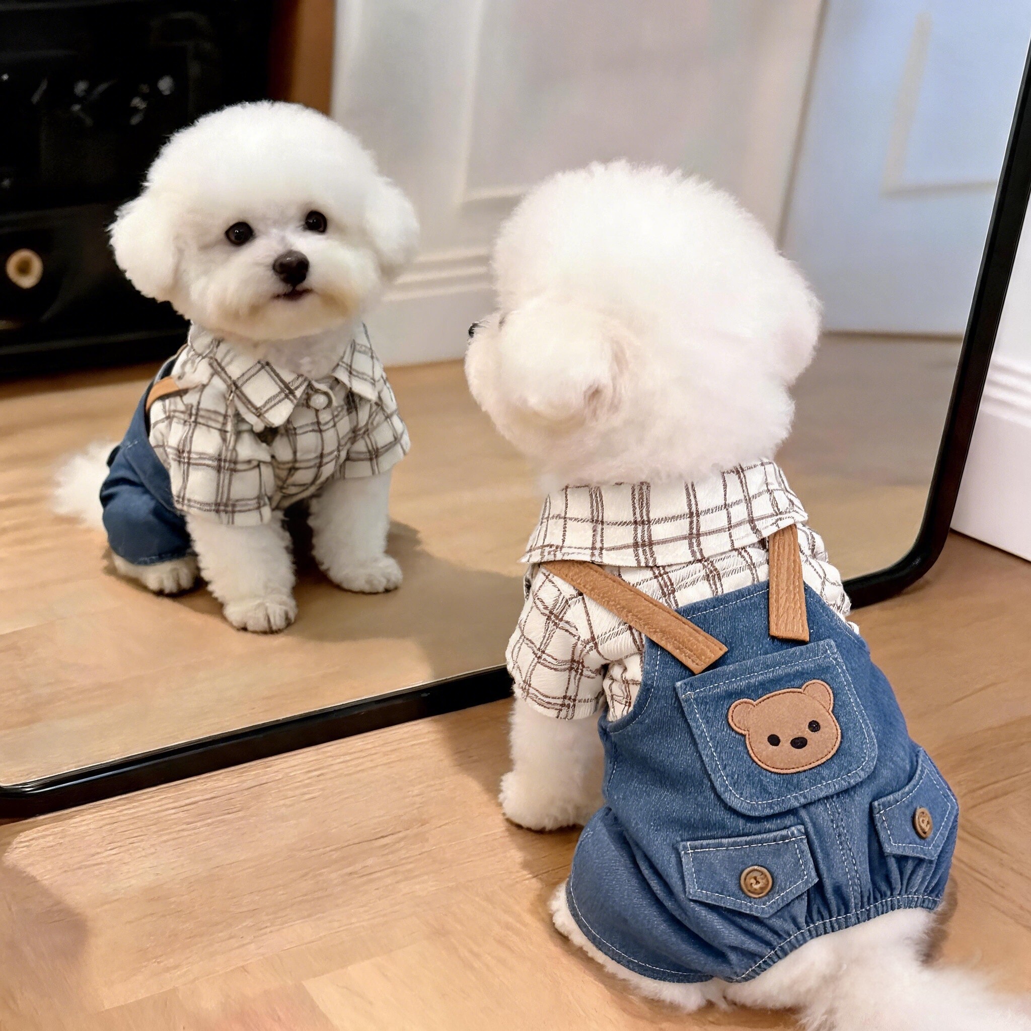 狗狗衣服夏季薄款背带裤泰迪比熊雪纳瑞小型犬春秋装可牵引四脚衣