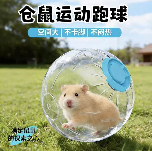 遛仓鼠神器解闷玩具跑球不卡脚大号跑步机金丝熊专用自嗨解压用品