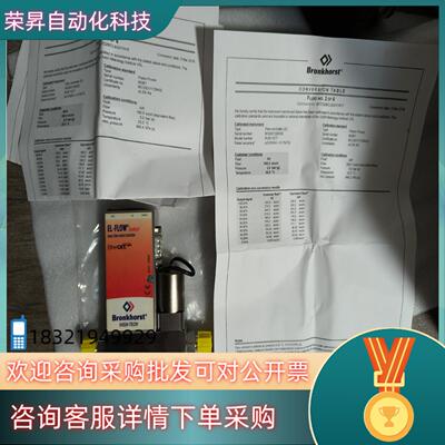 现货荷兰Bronkhorst计RUR-107T全新原装盒子