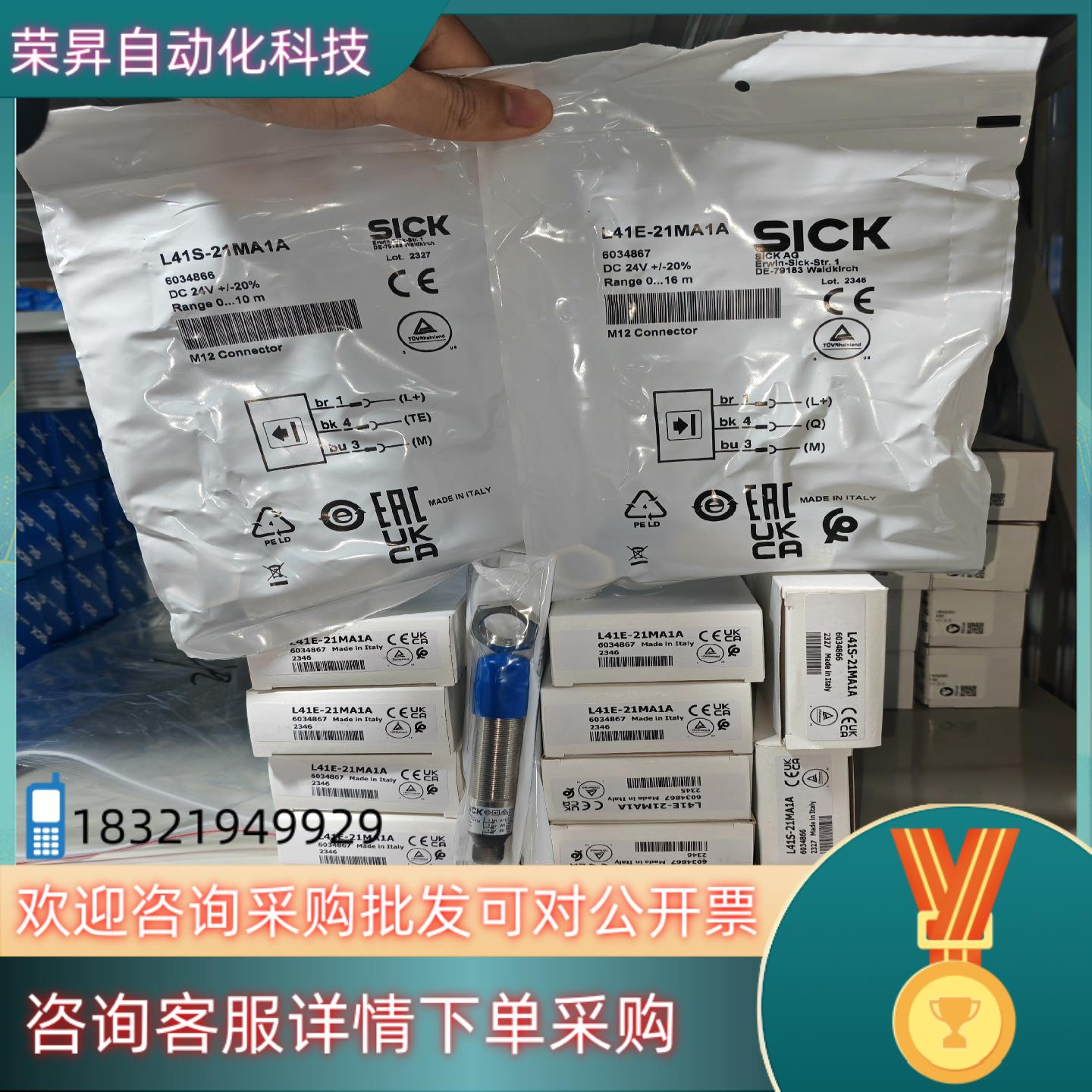 现货L41S-11MA1A  6034868