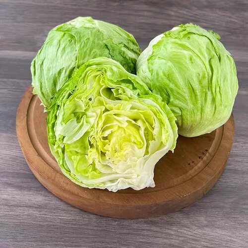 有机球生菜 有机认证沙拉菜生菜