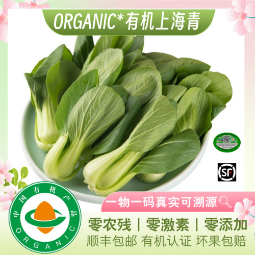 有机上海青  新鲜蔬菜菜梗菜叶菜 包邮到家