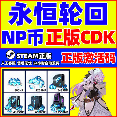 永恒轮回NP点数CDKey兑换码端游NP兑换券 steam激活码秒发货