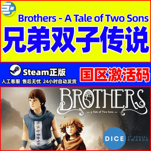 steam正版 兄弟双子传说 Brothers A Tale of Two Sons国区激活码