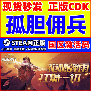 PC正版 孤胆佣兵 游戏 CDKey Son 国区激活码 steam Gun