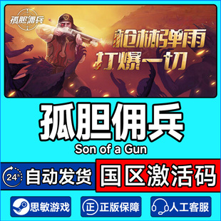 PC正版 孤胆佣兵 游戏 CDKey Son 国区激活码 steam Gun