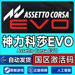 神力科莎EVO 国区激活码 Assetto EVO CDKey Corsa Steam中文正版