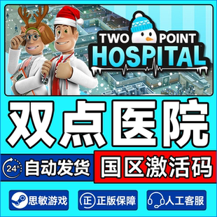 Two 双点医院 Point Hospital PC正版 国区激活码 Steam游戏