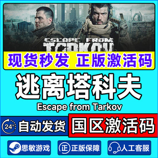 from Escape Tarkov 国区激活码 PC游戏 Steam CDKey 逃离塔科夫