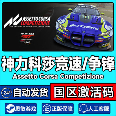 神力科莎竞速争锋激活码秒发