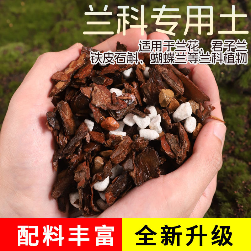 兰花专用营养土家用庭院铁皮石斛