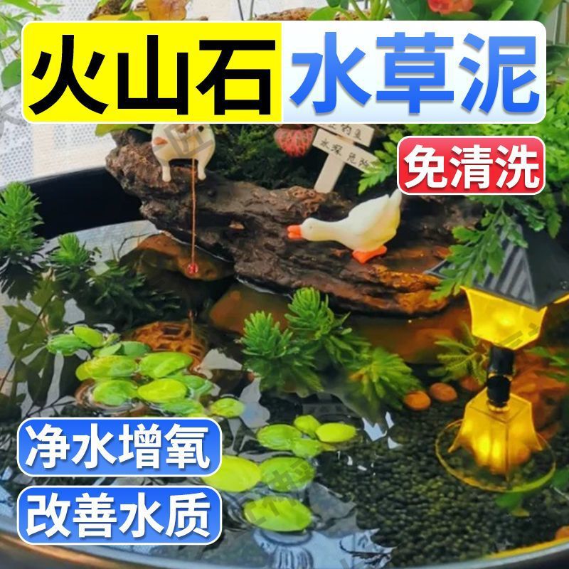 水草泥火山石不浑水免洗陶粒砂古