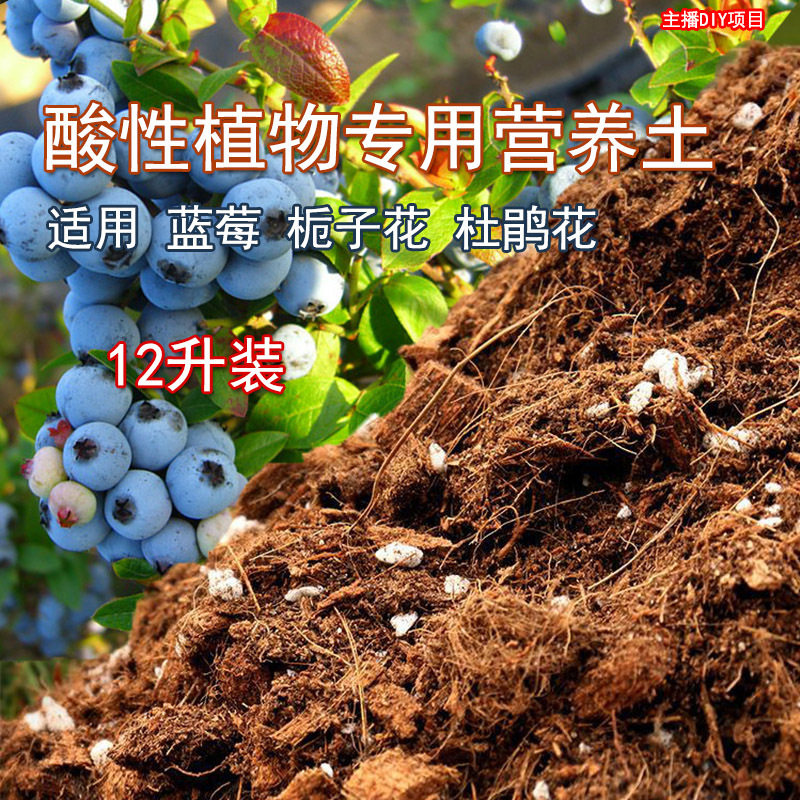 中禾农业蓝莓专用土营养土栀