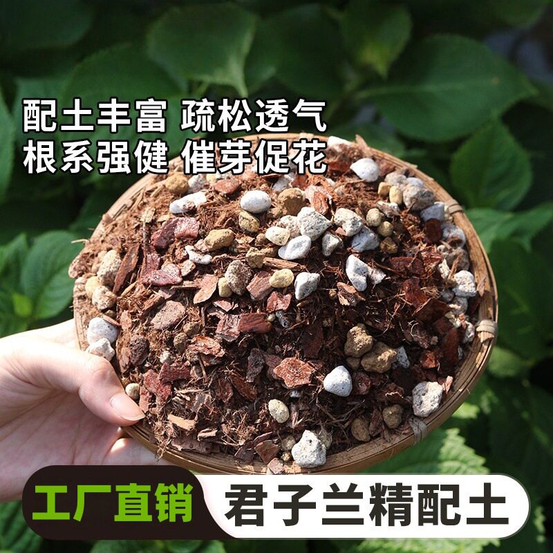 专用土花卉盆栽腐殖腐叶兰花土骨