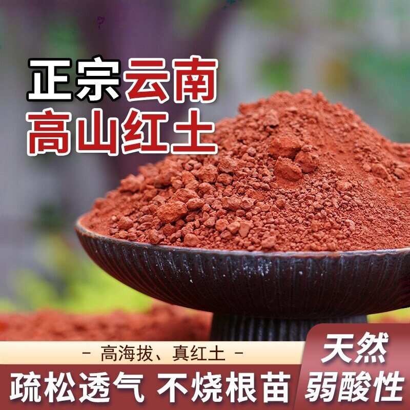云南红土天然酸性蓝莓三角梅腌鸭