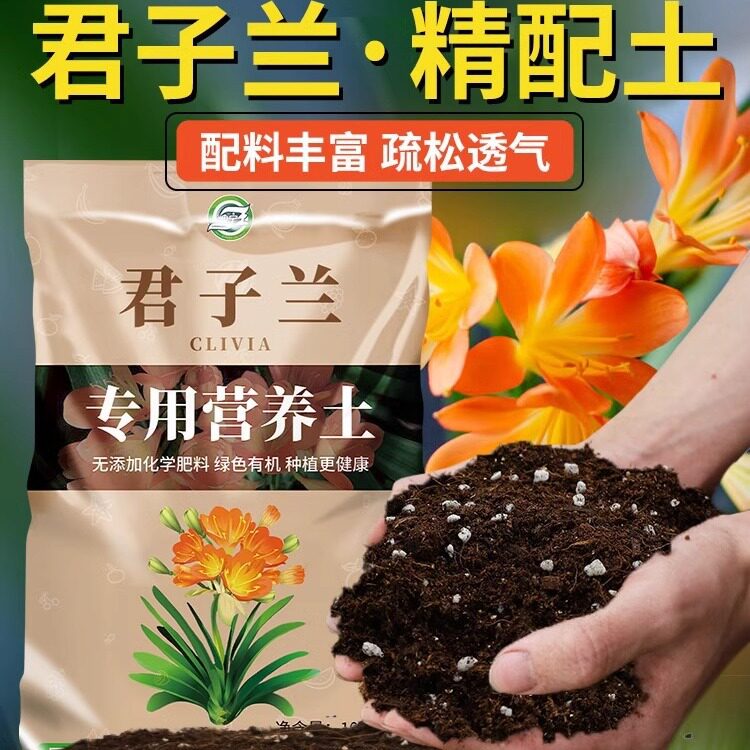 松树皮腐熟铁皮石斛栽培基质兰花
