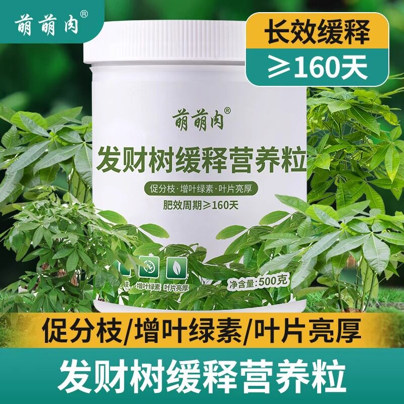 发财树肥料专用肥缓释营养粒家用