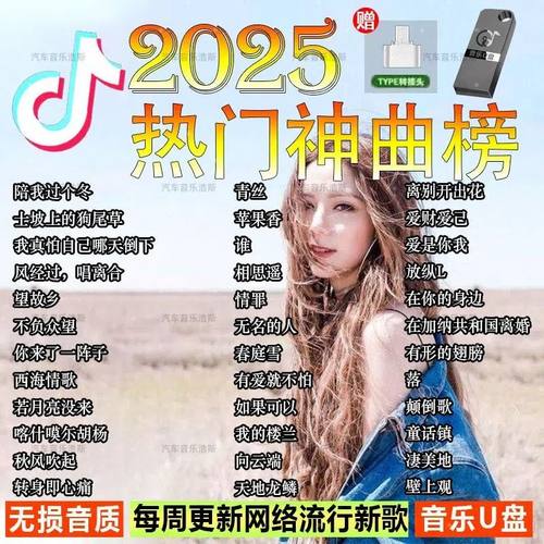 【带歌词】2025新车载抖音网红热歌dj音乐无损音质载U盘经典民谣